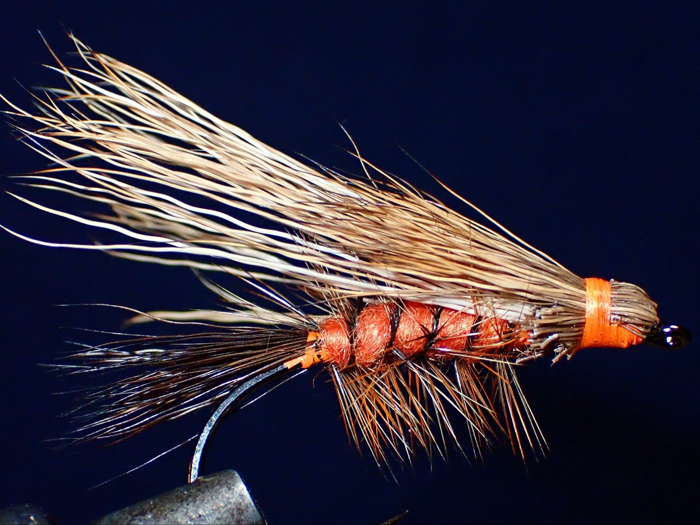 Henry's Fork Stonefly