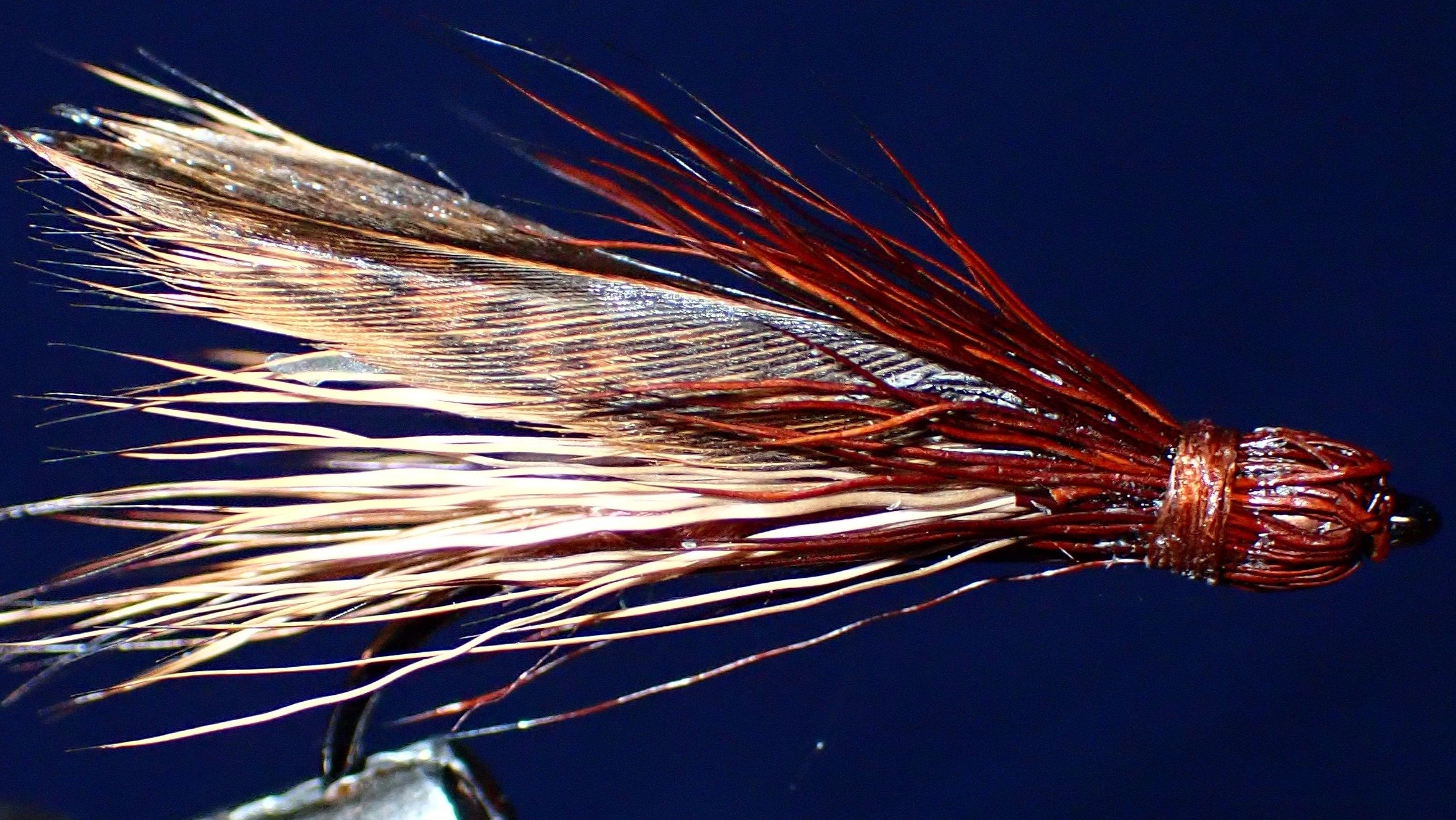 Hen Saddle Golden Stonefly