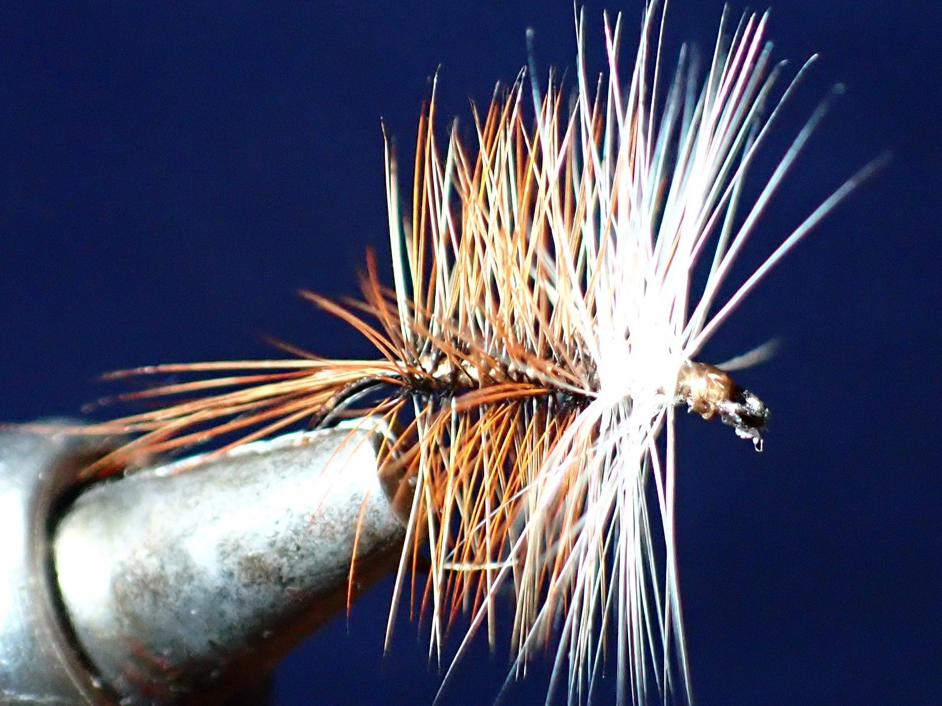 Brown BiVisible