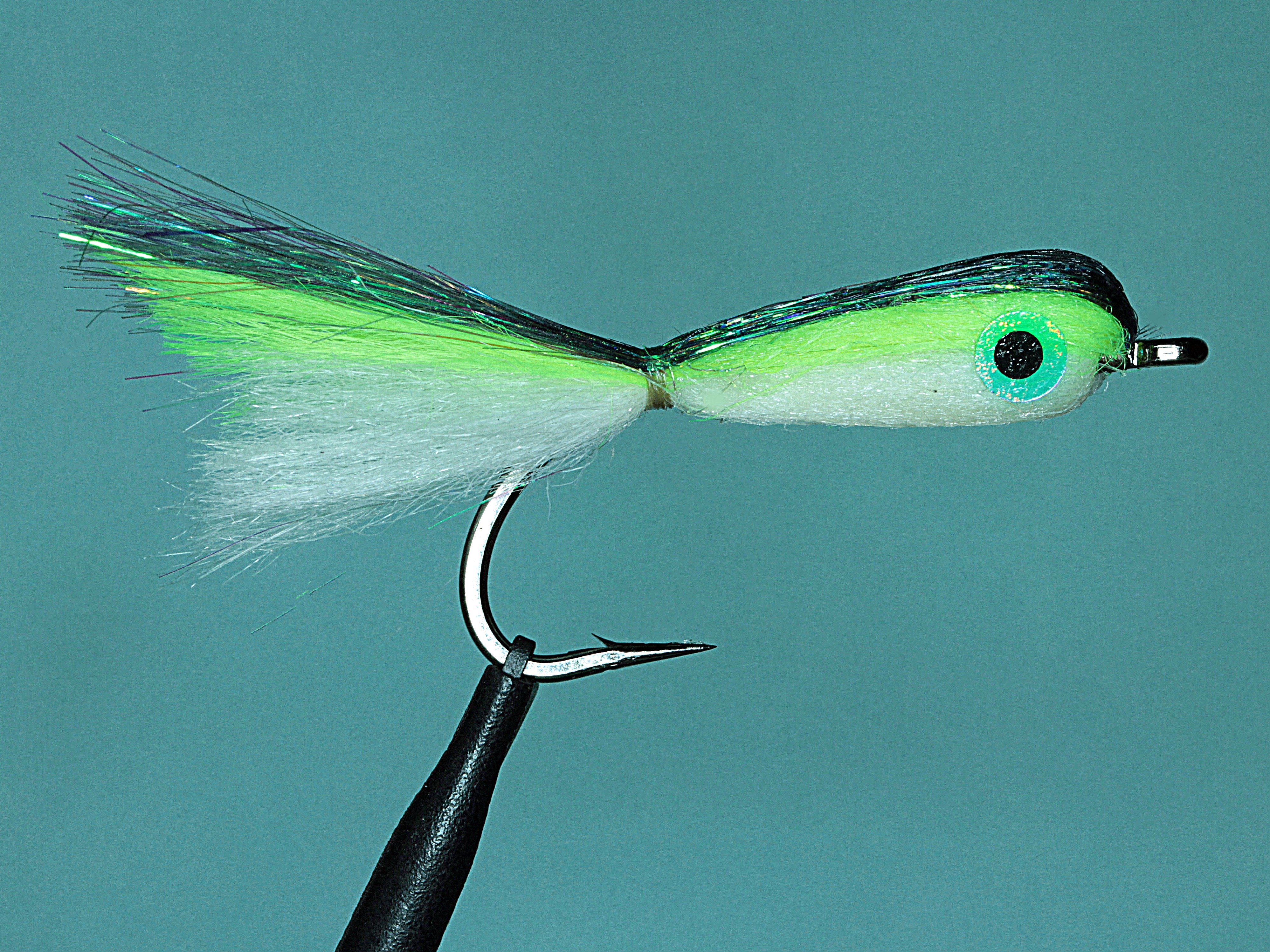 Bullet Bait Fish
