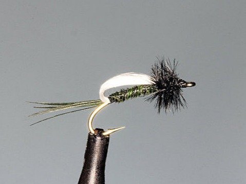 Bubble Bug