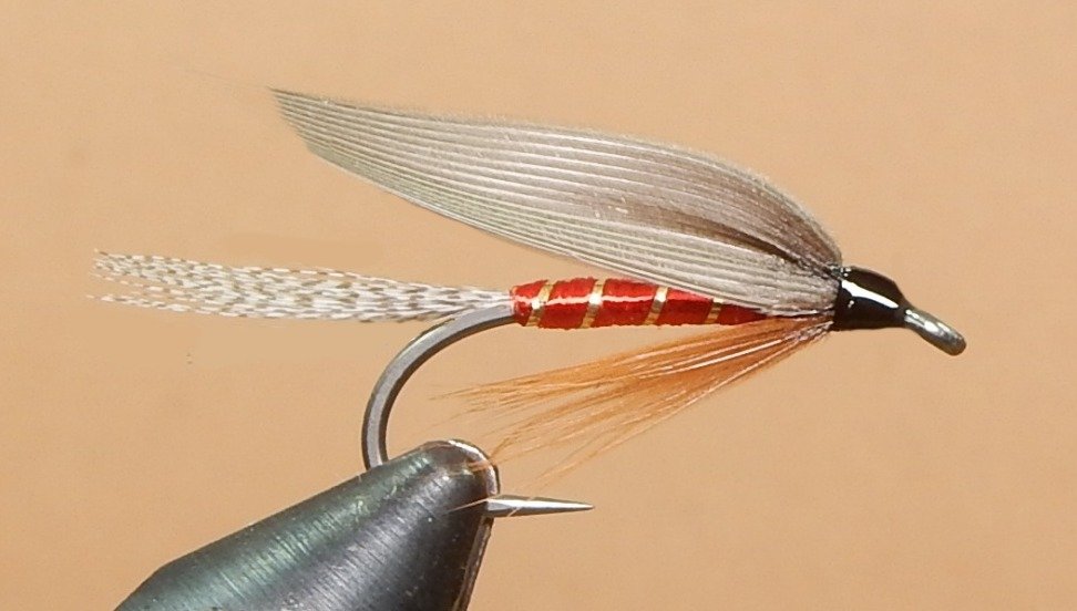 Red Spinner