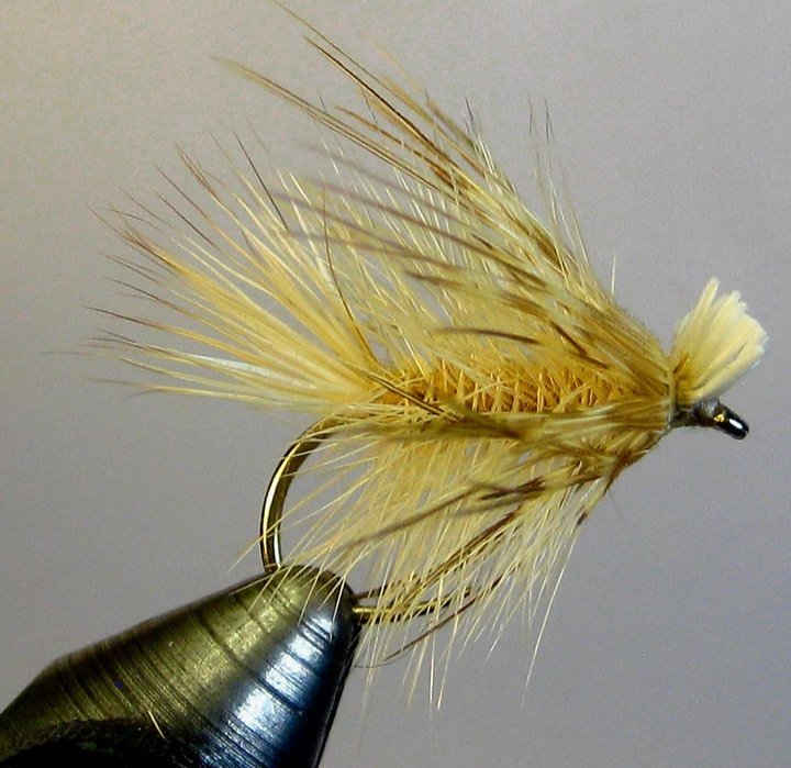 Bleached Dyret