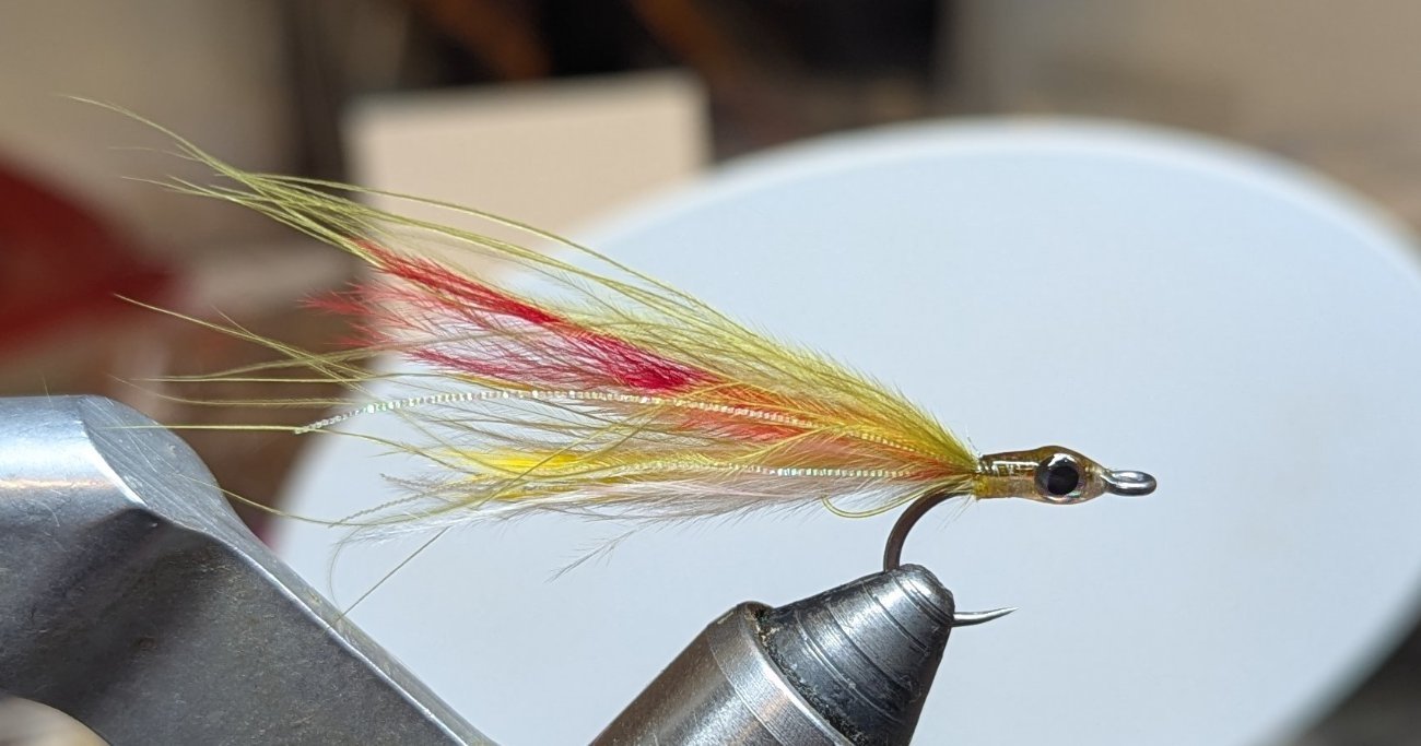 Marabou sand eel.