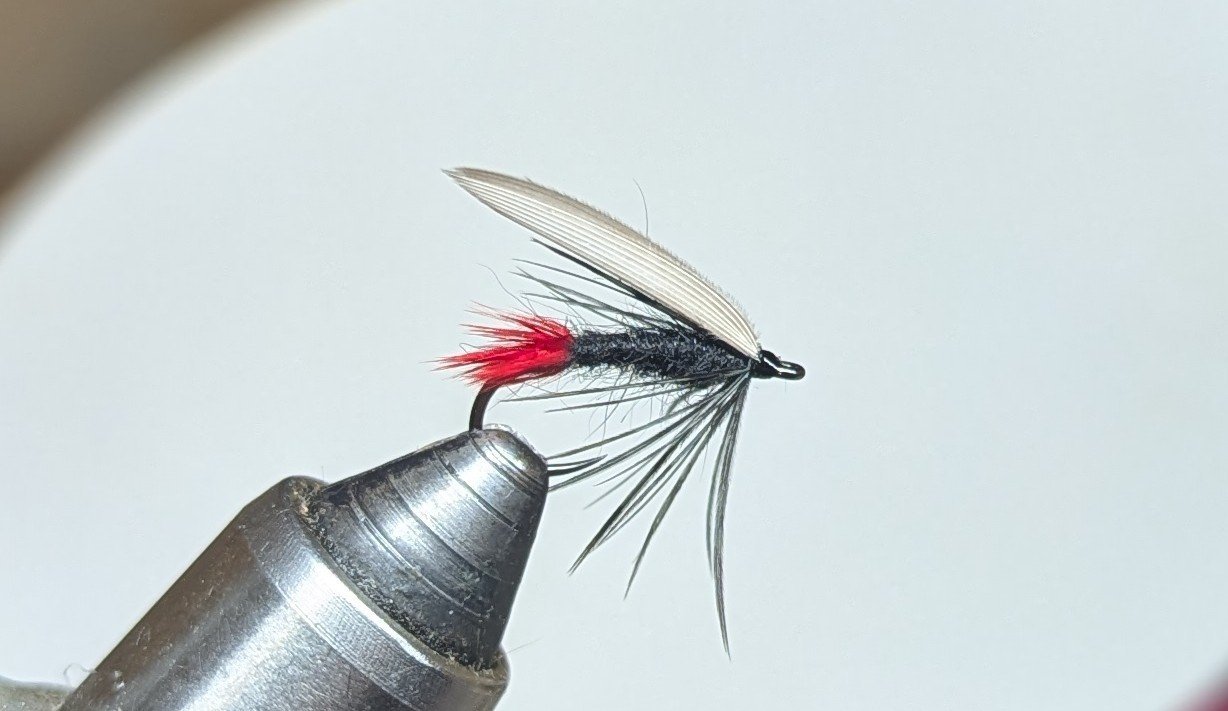 Black gnat, size 14.