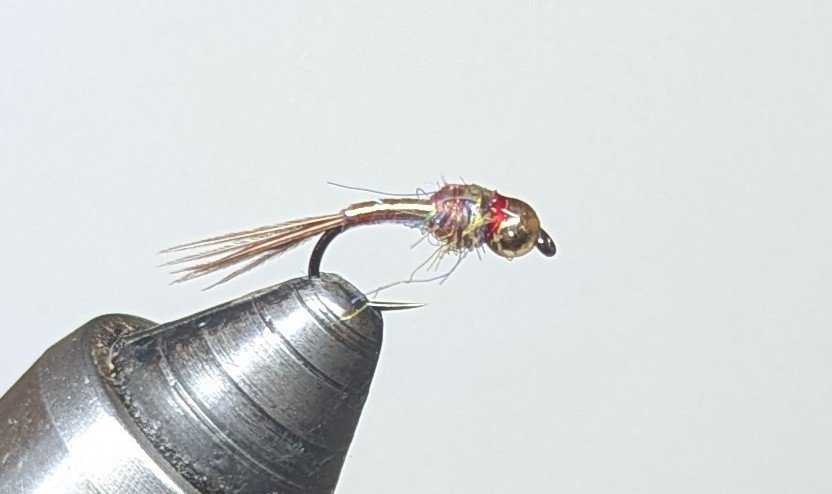 Lance Egan's Rainbow Warrior nymph, size 16.
