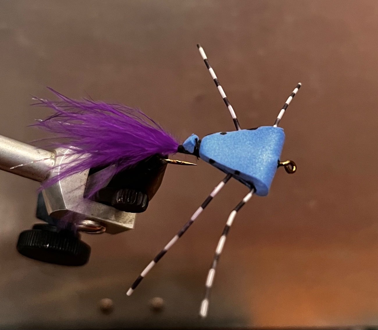 Triangle Bug