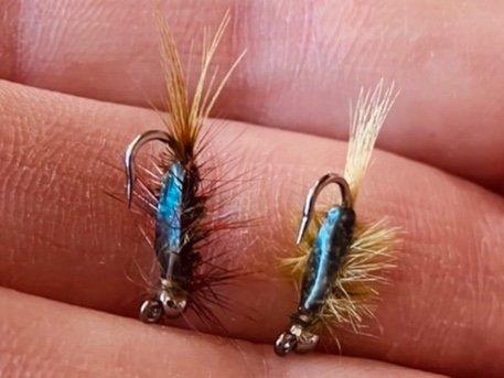 新田恵海　the betty nymph Nymph Fly Patterns | MyFlyVise