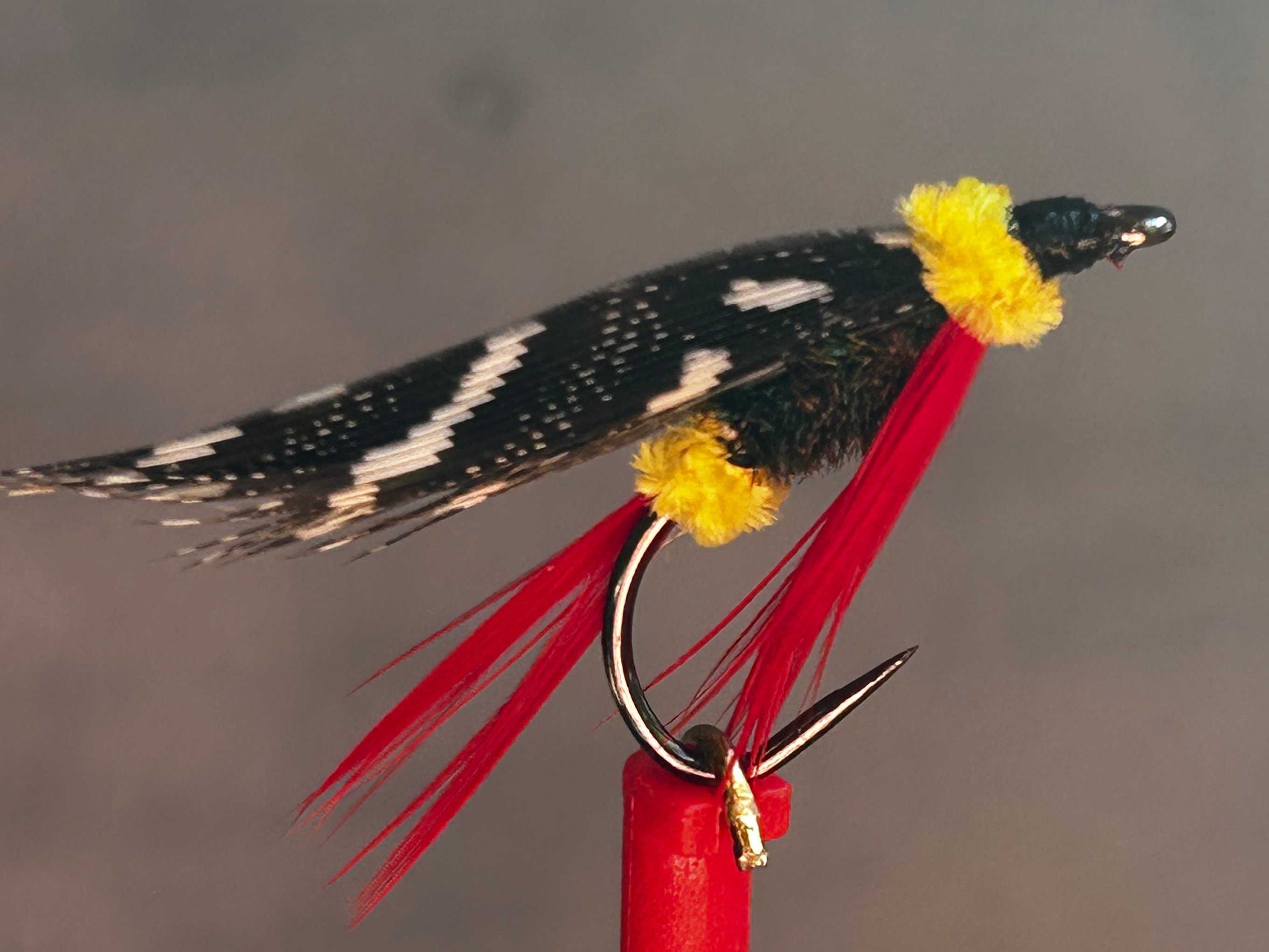 Magie — Size 8 — tied by Alfred Ronalds